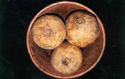 Fotos tiradas para a elabora&ccedil;&atilde;o dos Folders de Frutas.