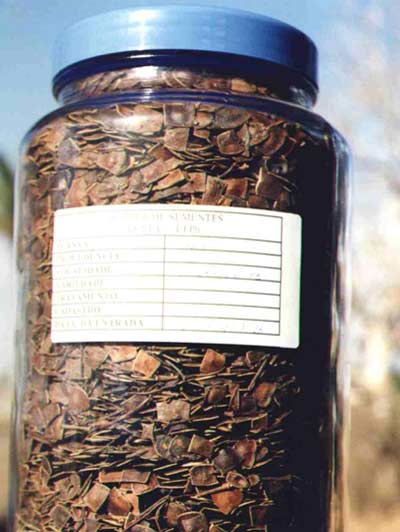 Sementes de sabi&aacute; armazenadas.