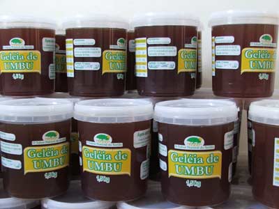 Gel&eacute;ia de Umbu 