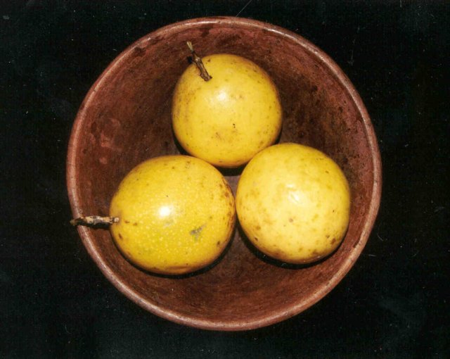 passifloraedulis3.jpg